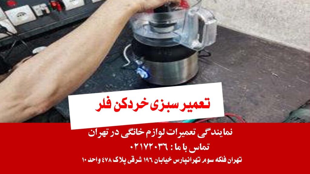 تعمیر سبزی خردکن فلر