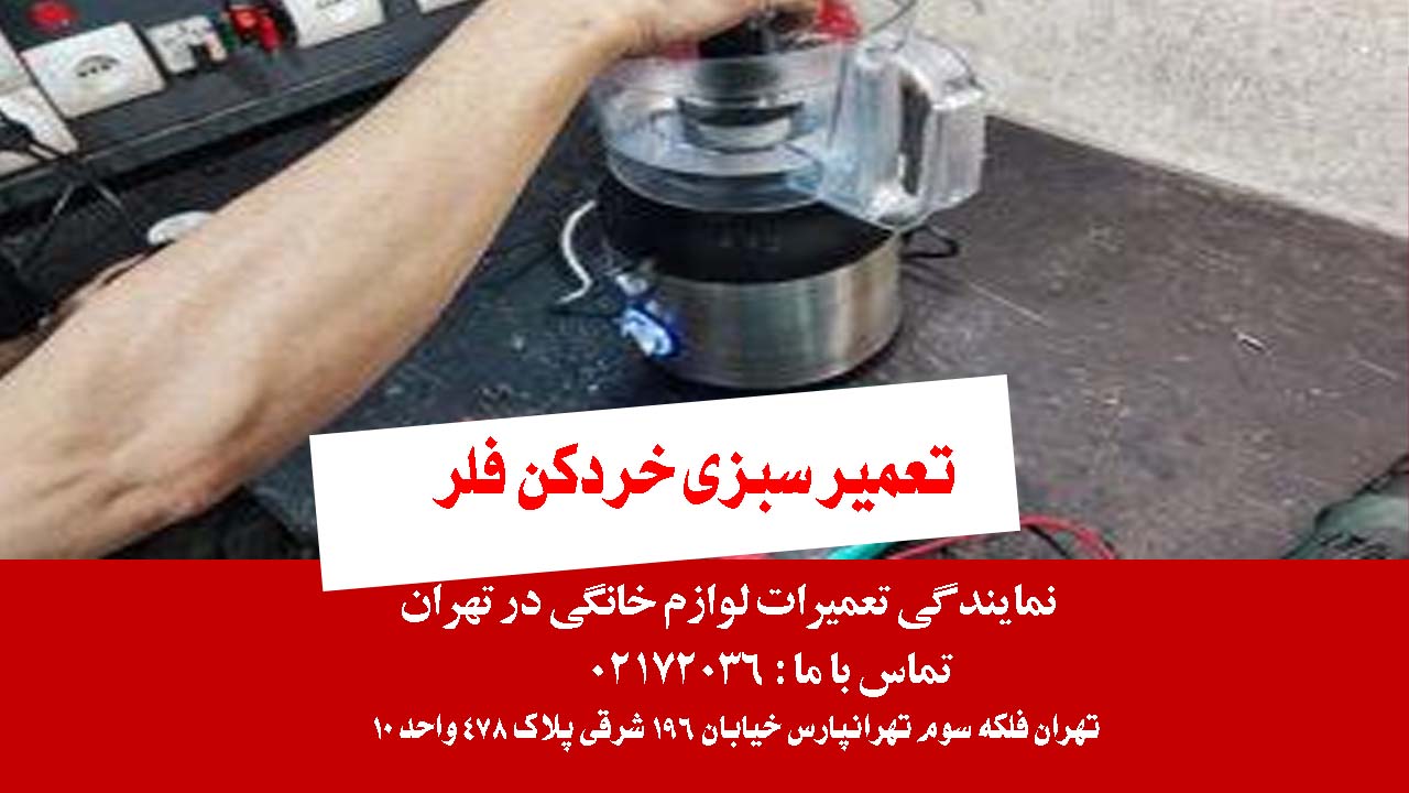 تعمیر سبزی خردکن فلر