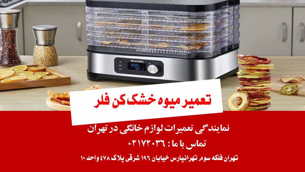 تعمیر میوه خشک کن فلر