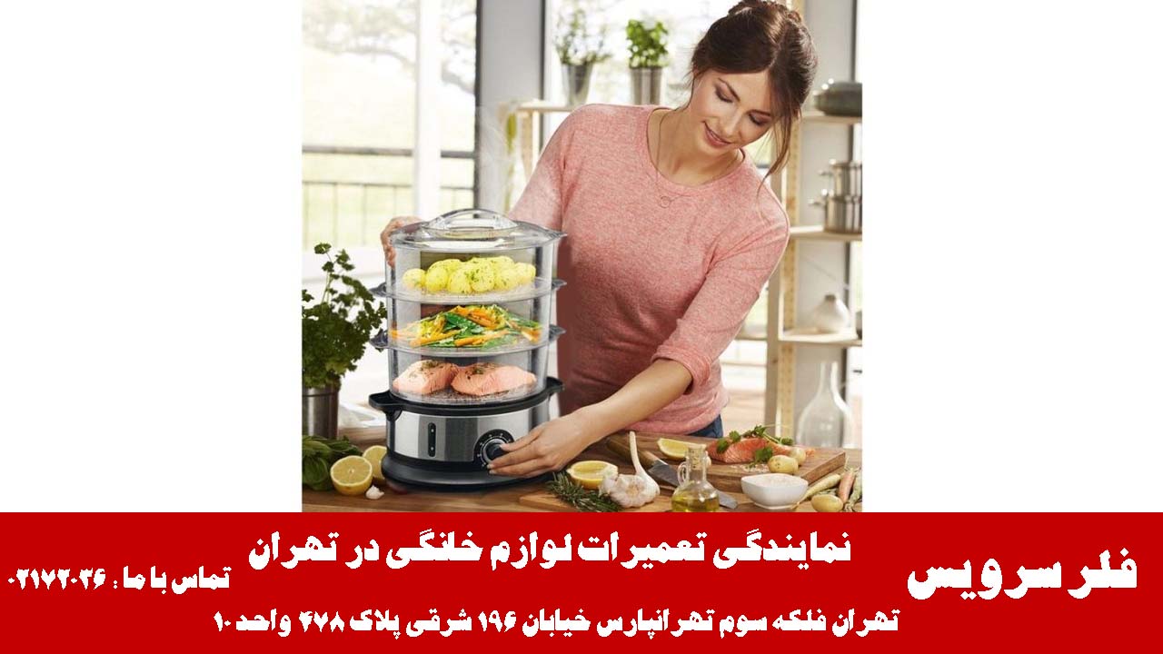 تعمیر و عیب یابی تخصصی بخار پز فلر