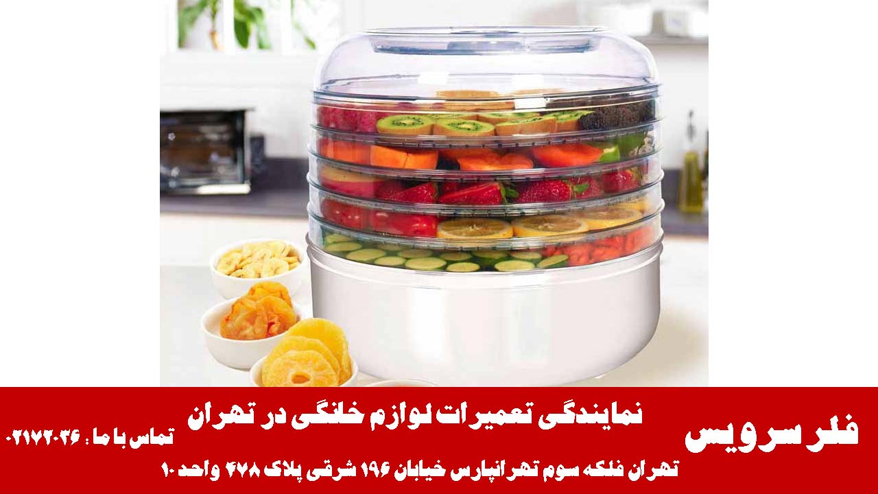 عیب یابی تخصصی میوه خشک کن فلر