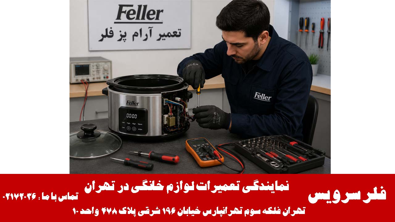 عیب یابی دقیق آرام پز فلر